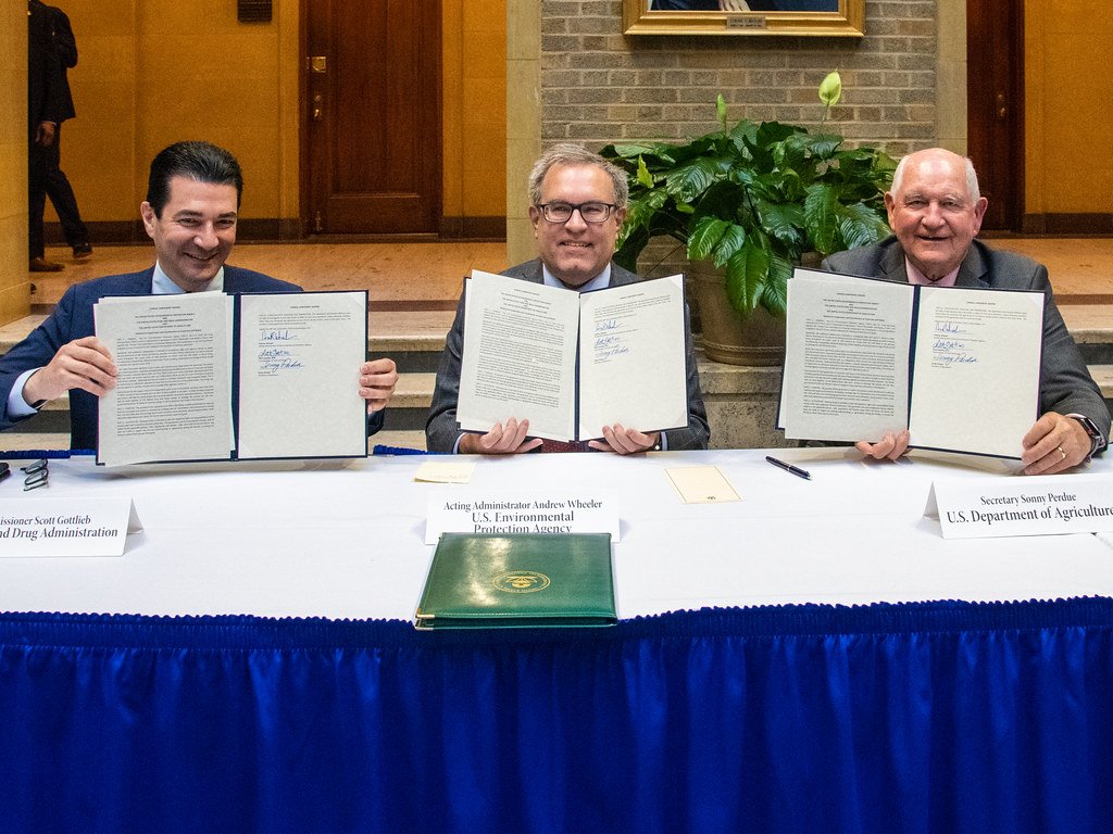 FDA Advisory Panel Recommends Easing Restrictions on Popular Peptides