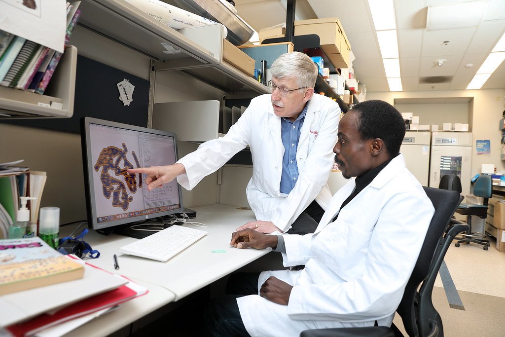 Understanding C-Peptide: A Key Biomarker Advancing Type 1 Diabetes Research