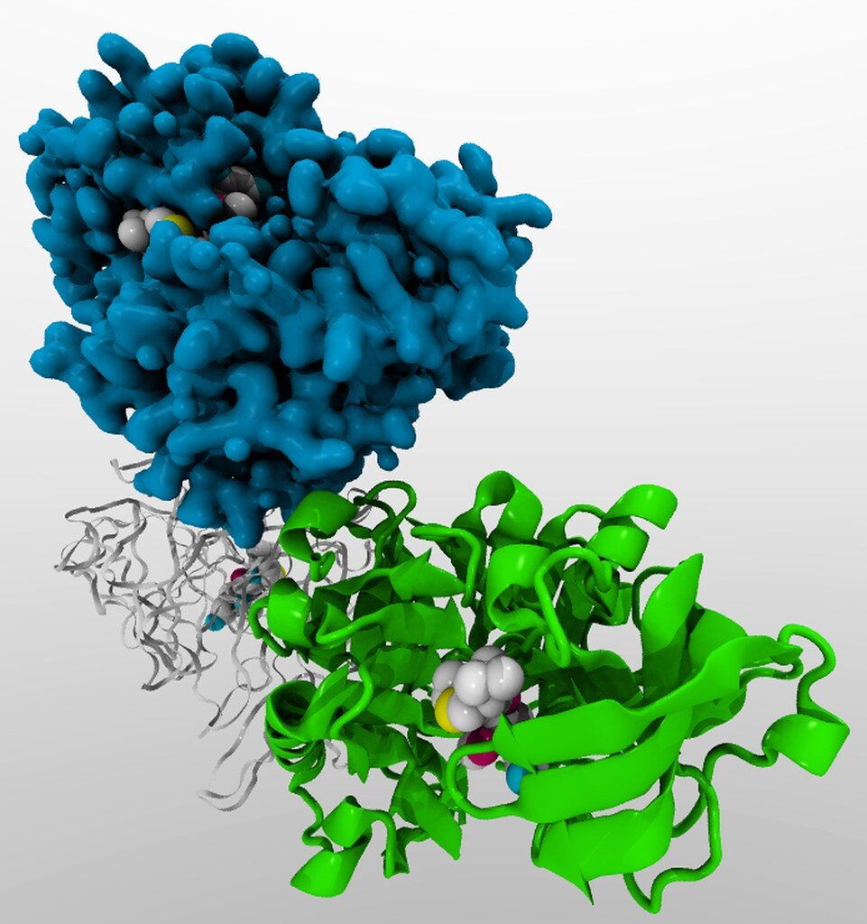 Tesamorelin: A Standout Example of an FDA-Approved Peptide Success Story