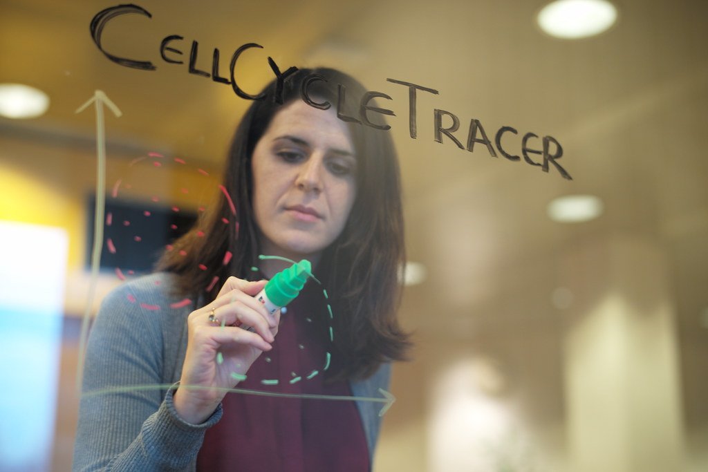 New Trial Explores Adding Immunotherapy to Boost Breast Cancer Treatment Response